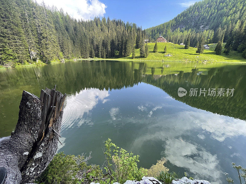 湖被树木环绕，山上有牧场Planina pri Jezeru。